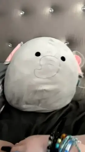 please can i be your christmas present ?