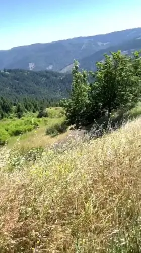 Road trips mean blowjobs at every vista point [M] [F]