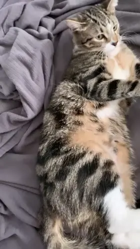 It’s safe to say that I have a very beautiful pussy