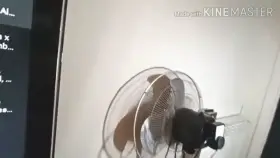 hotwife video 🔊🔊🔥 double penetration on...