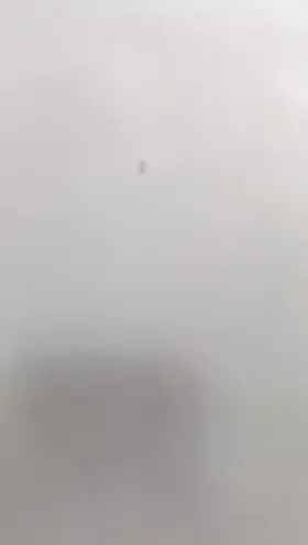 you like the sound of my crop? imagine how it would sound in your ass litlle slut, you would love it for sure😈