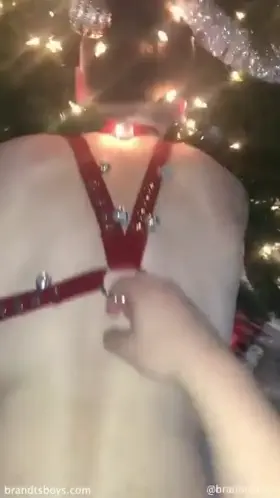 Breeding Rudolph 🦌🎅🏾