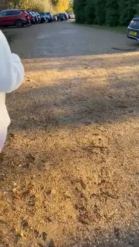 Hope there was not anyone sitting in there car! (f)