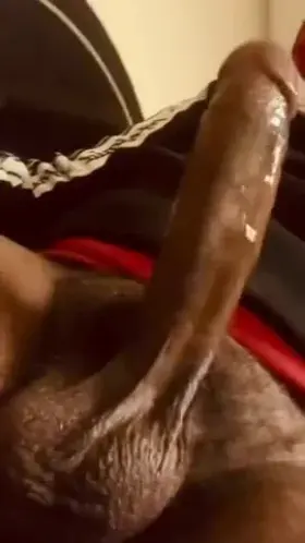 Suck my cock and balls