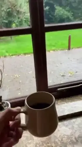 How every morning should start!