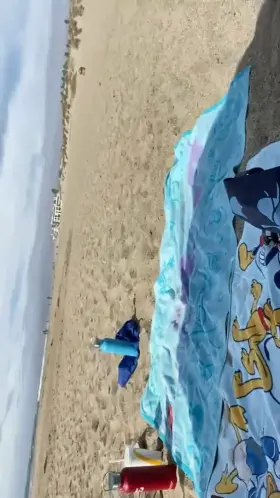 Reason not to mind a cooler day at the beach! [gif]