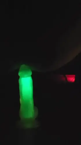 Wanna be my next trick?