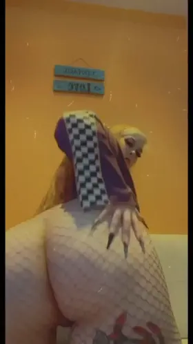 Would you eat my fat ass? Yes or no?