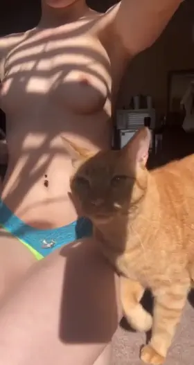 my kitty always getting in the way