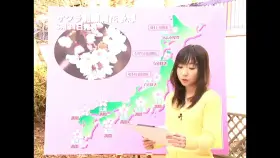 [RCT-100] warm and heavy precipitation