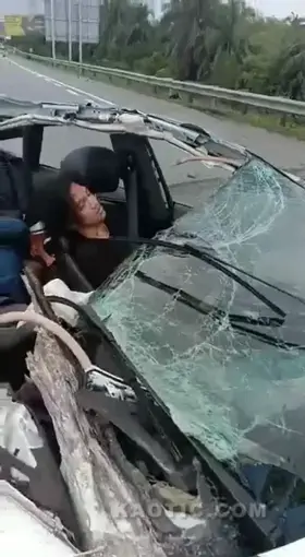 🎶Passenger Seat, Tropical Heat🎶