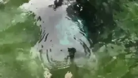 Imagine getting stuck...