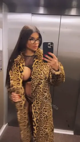 Hello my favorite subreddit