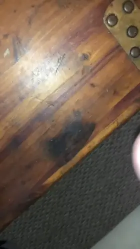 Peg me then make me eat my cum (m35)