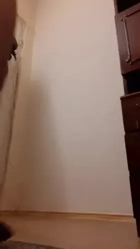 Dublin slut