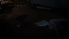 Savvy Sexy Survivalist (CGI)