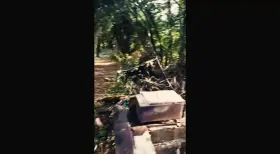 I pulled out his dick in the forest and milked his load on my face and tongue