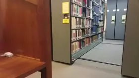 Public exposure is my favorite [Not OC]