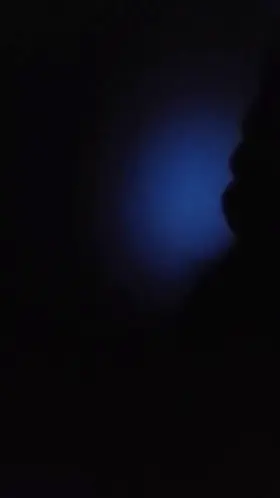 Thought the silhouette of stroking my cock was hot