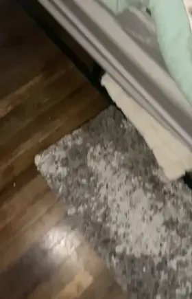 I found this video on my phone when I woke up this morning [OC]