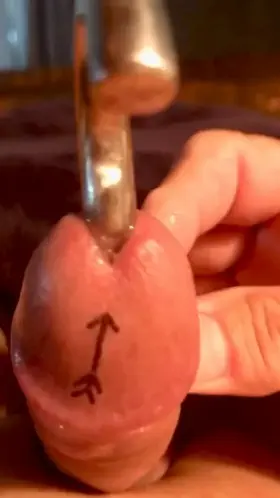 Owners Manual: Follow arrow and insert