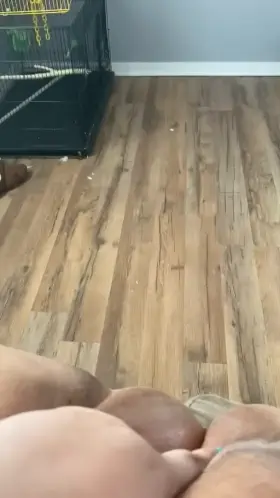 Wanted to see how far it could go, but it decided to go for height instead 🙈💦