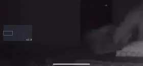 I love sitting on my visitor's face...my husband likes watching remotely ;)