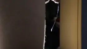 Anal makes me ooze cum 😈