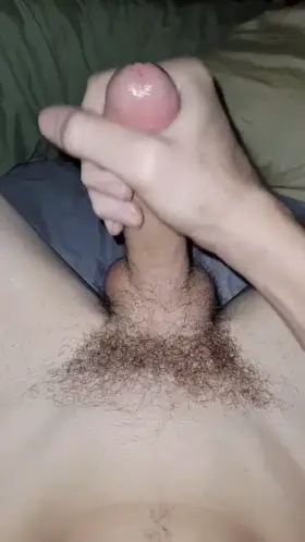 Something wet woke me up