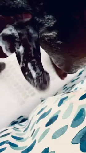 IN VEGAS TILL THE 19th 😈💦🤩