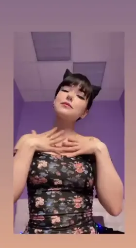 Pet this kitten 🥰