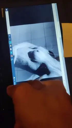 Love to shoot big loads for teasing girls